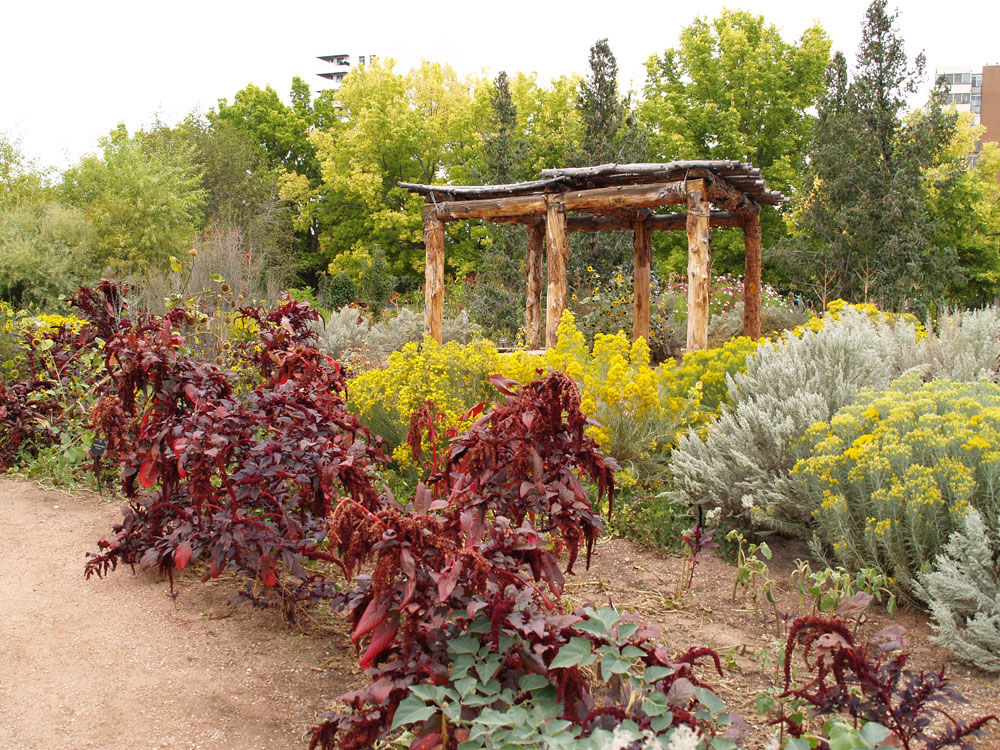 The Denver Botanic Gardens' Native Plant Collection, broadly defined as plants that are known to occur naturally (pre-European settlement) in Colorado and the West, consists of more than 700 species belonging to 323 genera. (COURTESY: Denver Botanic Gardens)