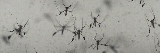 Class-action settlement: What to know about the $3.6 million Spartan Mosquito repellent settlement