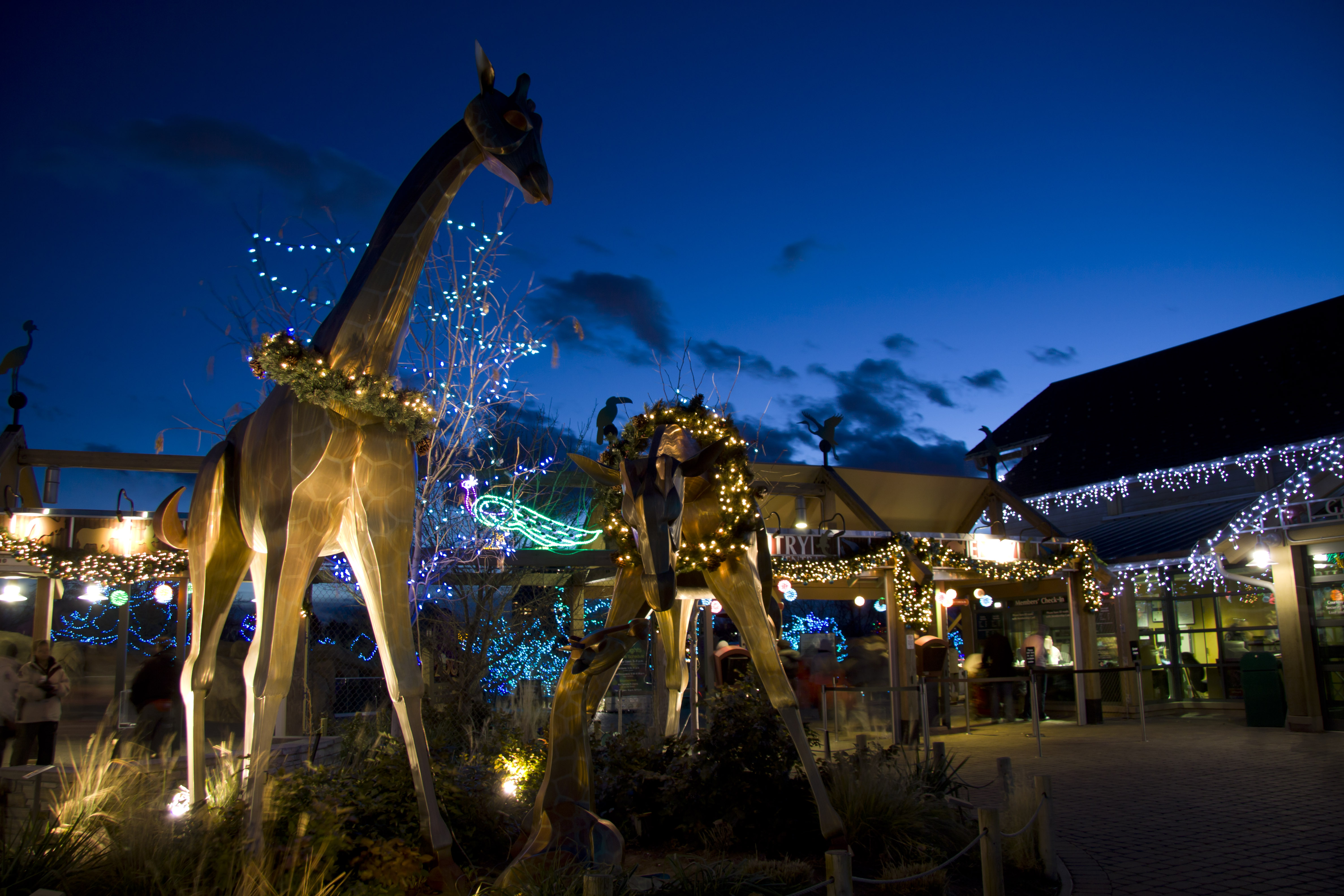 Denver Zoo Lights tickets on sale now as event organizers add 1 million new lights to 2023 display