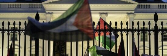 Anti-Israel protests fueled by terror-tied dark money groups: ‘National security issue’