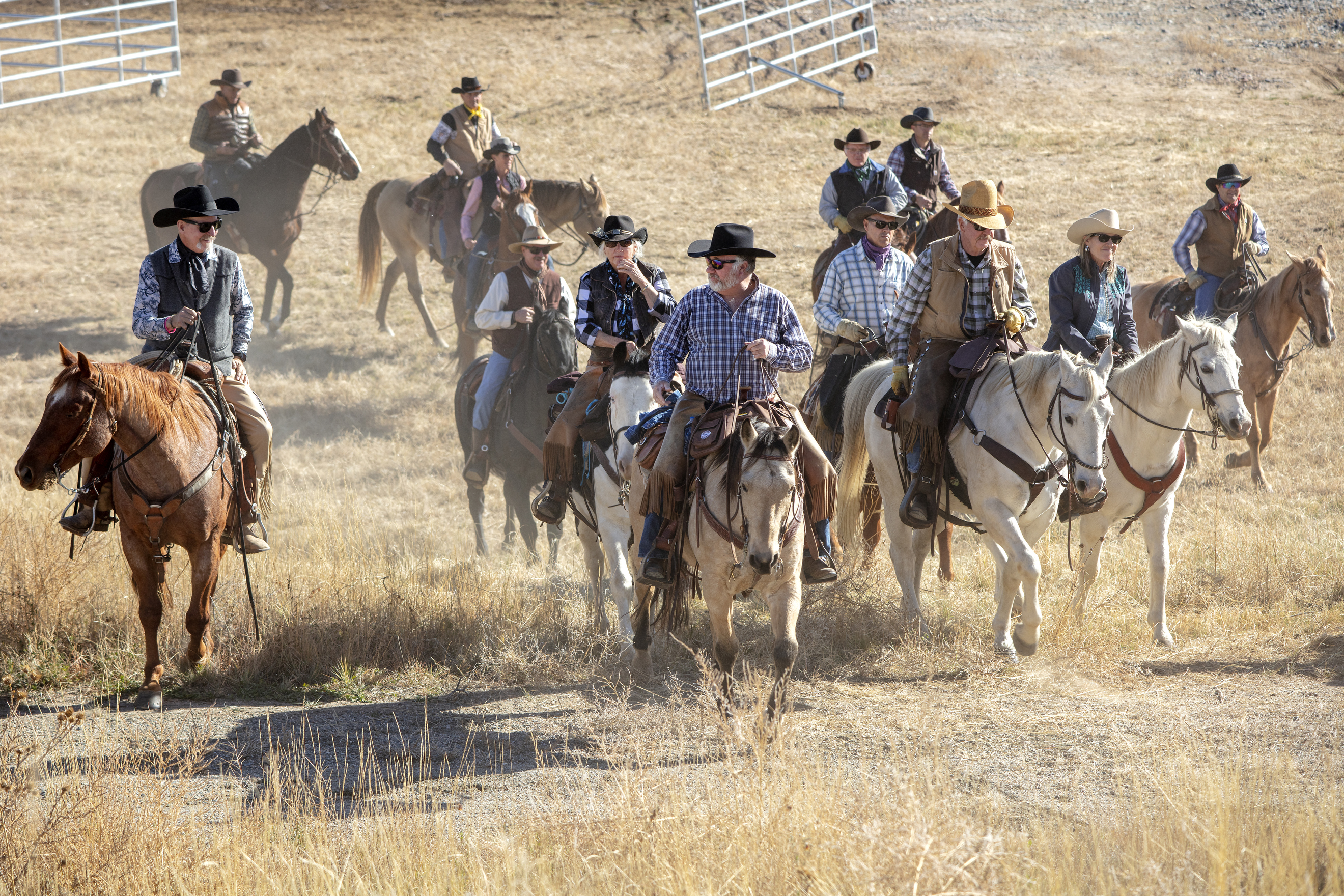 Cowboys and cowgirls herd cattle across the 3,400-acre Sterling Ranch property on Saturday, Nov. 4, 2023. The cattle are brought from their summer grazing pastures to their winter home as part of a rotational grazing strategy, which is critical way to foster a healthier ecosystem across landscapes. (Bear Gutierrez/Special to The Denver Gazette) (Bear Gutierrez/Special to The Denver Gazette)