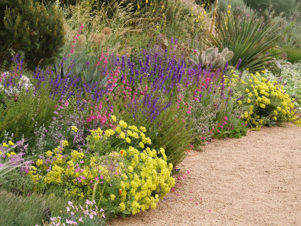 The Denver Botanic Gardens' Brian Vogt says native and native-adaptive plants use less water and maintenance and acclimated to Colorado's region. (COURTESY: Denver Botanic Gardens)