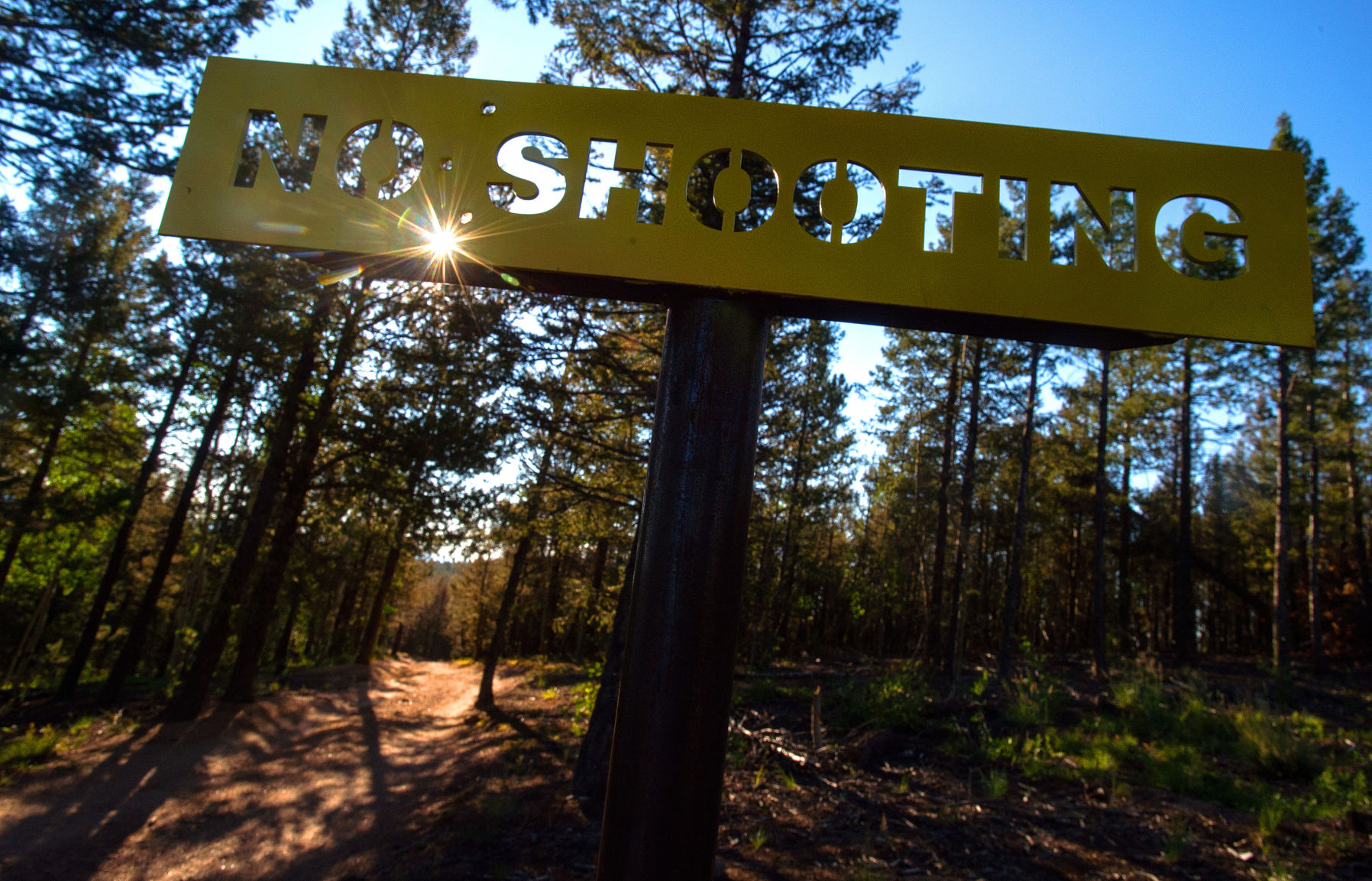 Officials have a plan to manage target shooting across Pike National Forest
