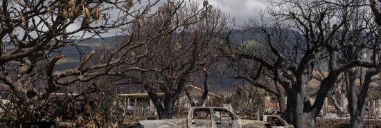 Hawaii fire: Maui police report death toll hits 100 in Lahaina wildfire
