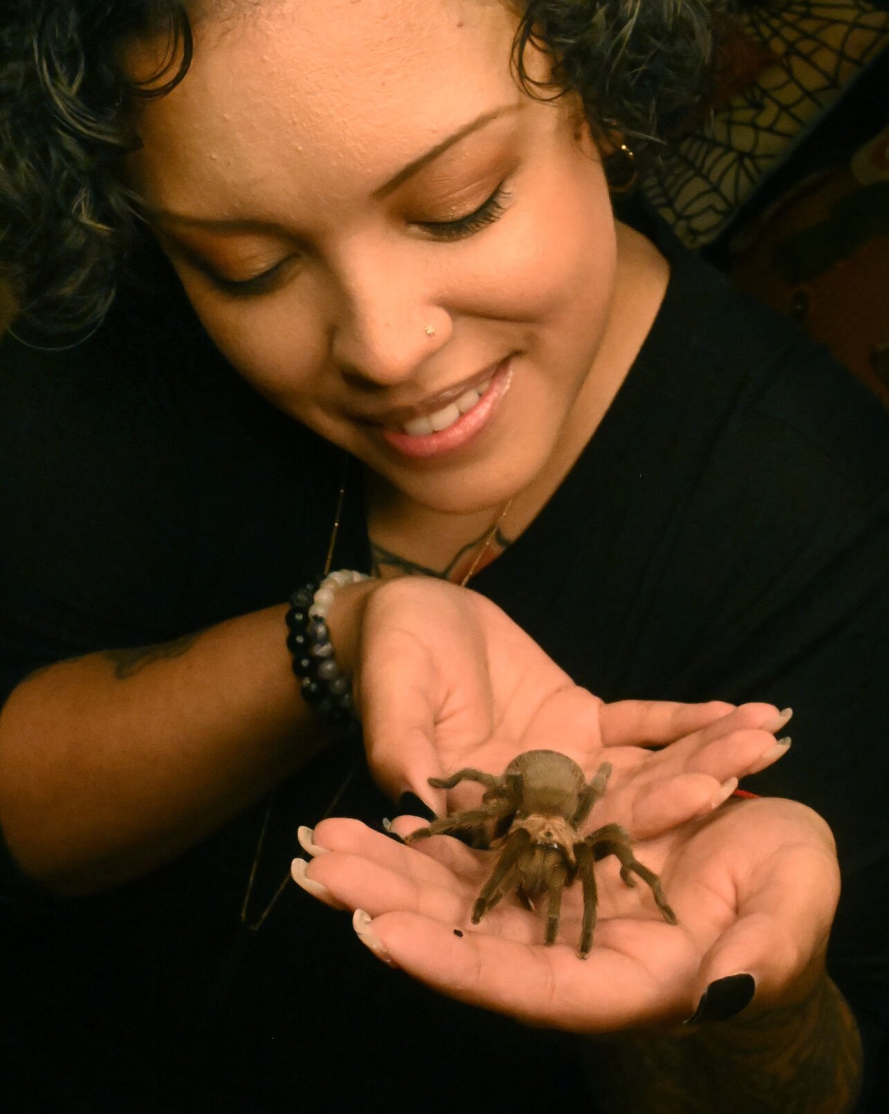 How a Colorado Springs woman dispelled her arachnophobia, fell in love with tarantulas