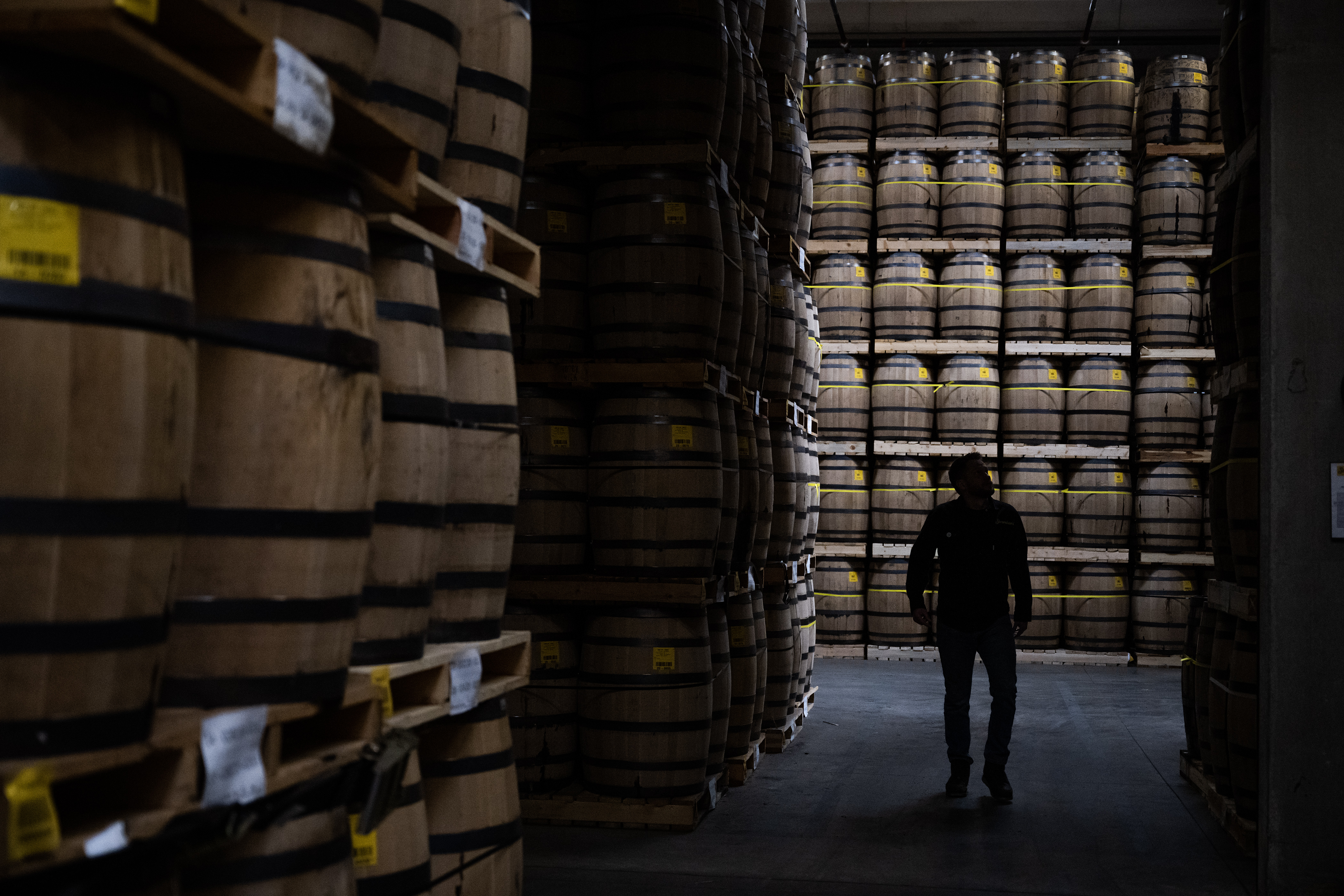 Stranahan's Whiskey Distillery head blender Justin Aden walks through one of the distillery’s massive barrel rooms on Thursday, Nov. 9, 2023, in Denver, Colo. (Timothy Hurst/Denver Gazette) (TimHursttim.hurst@gazette.comhttps://secure.gravatar.com/avatar/aca82bd62b4ee425c598527cd6faa1b1?d=mm&r=g)