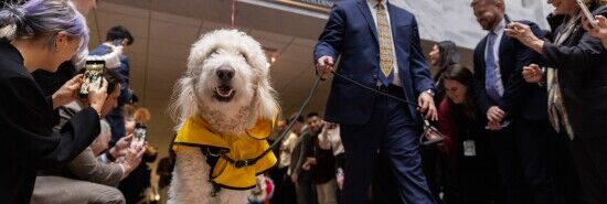 Dog days of Congress: Washington Photos of the Week