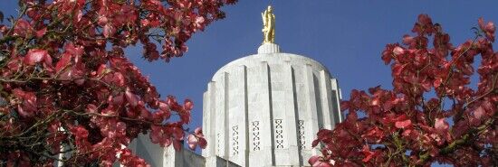 Oregon House Republicans propose policies to fight Measure 110