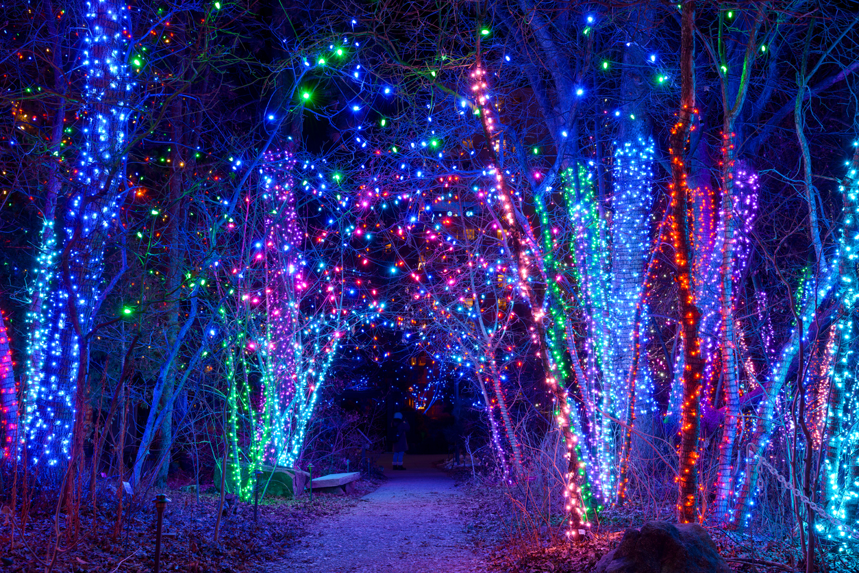 Denver Botanic Gardens during its holiday Blossoms of Light event. File photo. Photo Credit: SeanXu (iStock). (SeanXu)