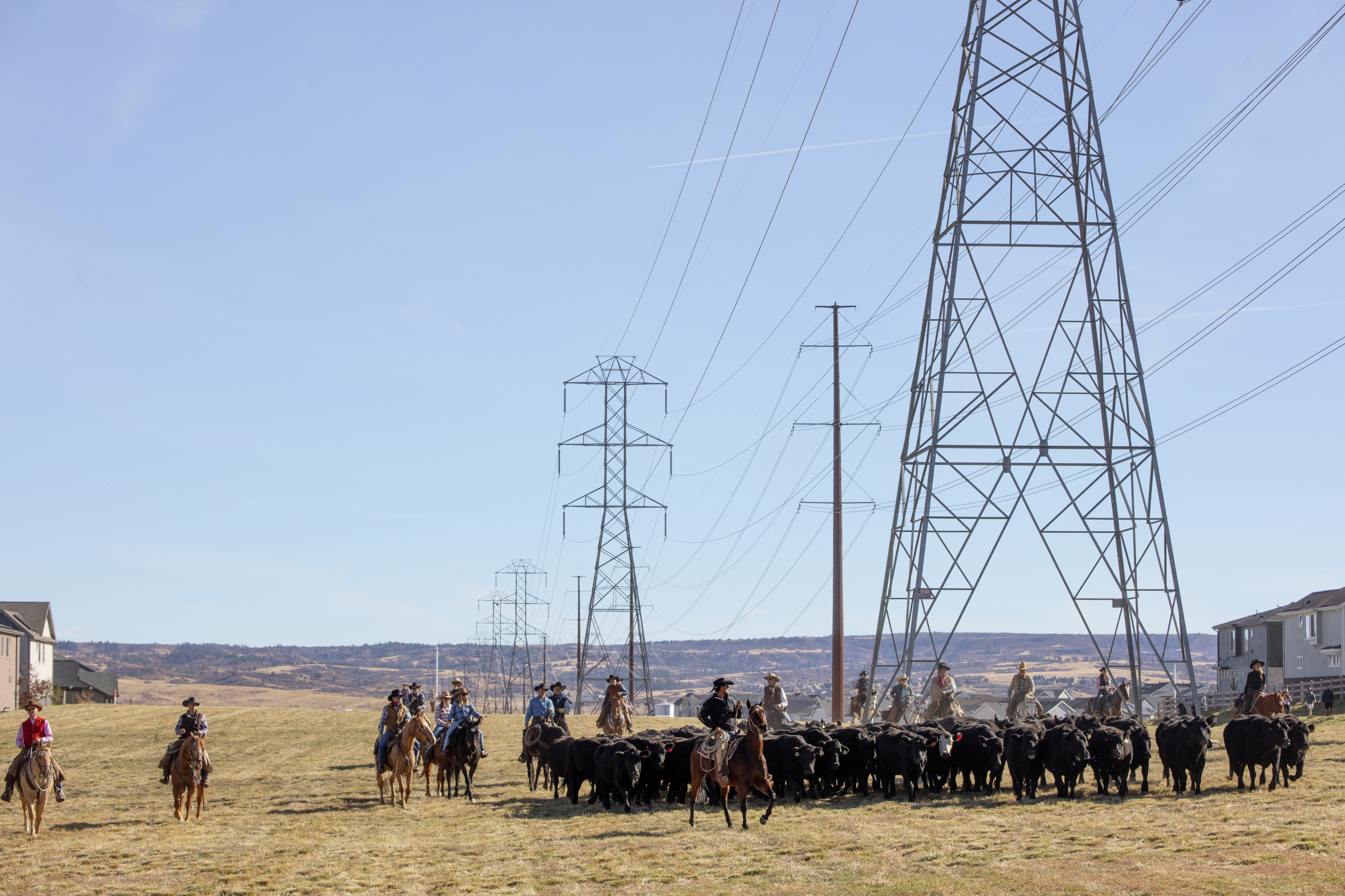 Cowboys and cowgirls herd some 100 heads of cattle across the 3,400-acre Sterling Ranch property on Saturday, Nov. 4, 2023. The cattle are brought from their summer grazing pastures to their winter home as part of a rotational grazing strategy, which is critical way to foster a healthier ecosystem across landscapes. (Bear Gutierrez/Special to The Denver Gazette) (Bear Gutierrez/Special to The Denver Gazette)