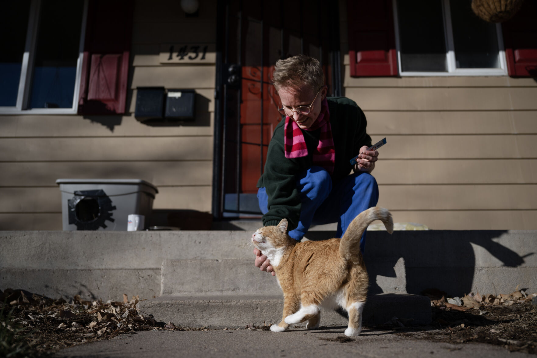 Ramen, a neighborhood cat that had his teeth removed at the Dumb Friends League Veterinary Hospital at CSU Spur due to a case of stomatitis, a condition that caused painful sores inside his mouth, gets a scratch from Mieke Lippstreu, who organized the vet care and has given Ramen a warm home to sleep in and administers his daily medications, on Thursday, Dec. 7, 2023, in Denver, Colo. (Timothy Hurst/Denver Gazette) (TimHursttim.hurst@gazette.comhttps://secure.gravatar.com/avatar/aca82bd62b4ee425c598527cd6faa1b1?d=mm&r=g)