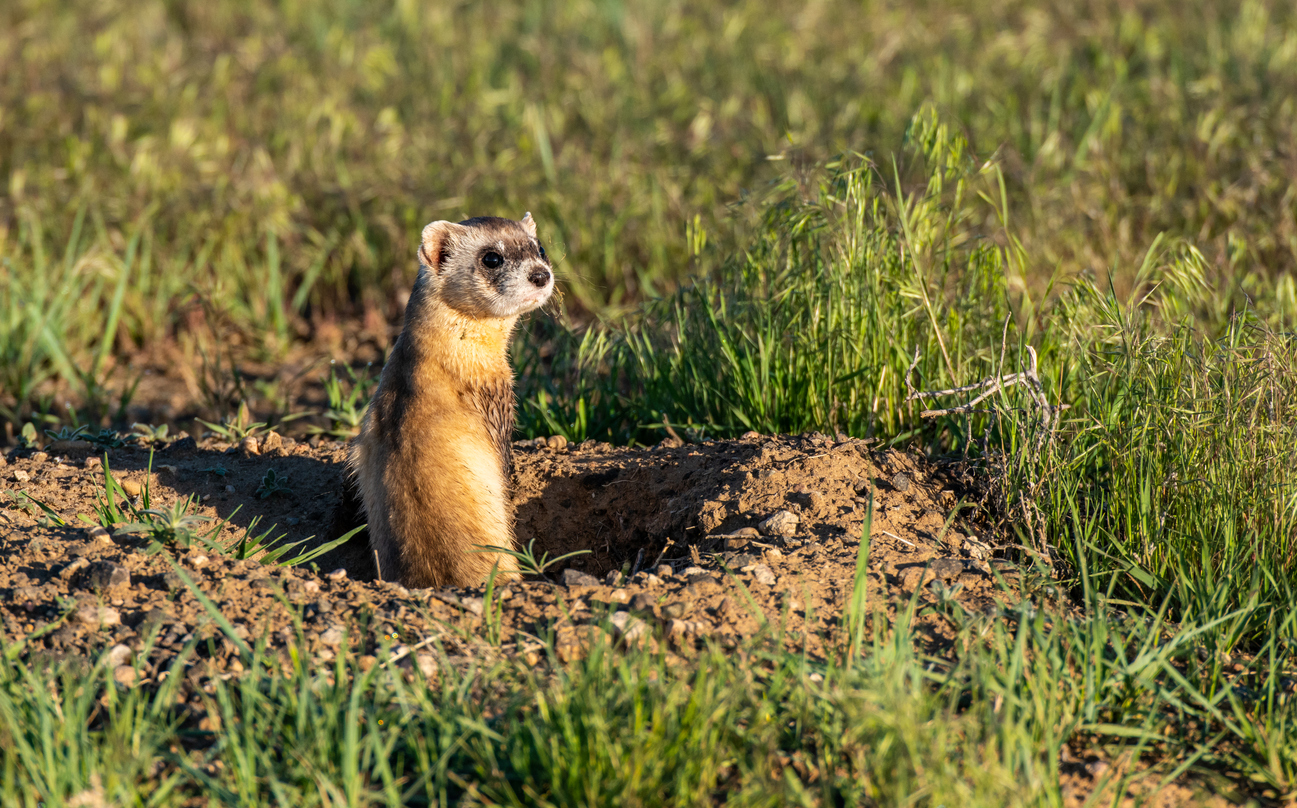 File photo. Photo Credit: Kerry Hargrove (iStock). (Kerry Hargrove)