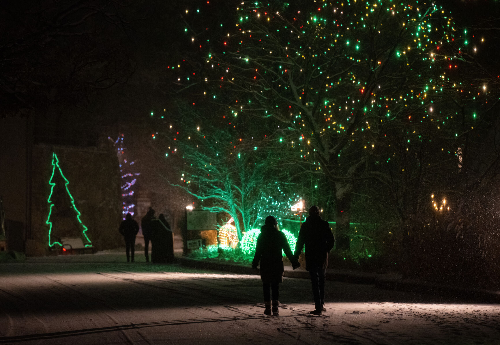 Scenes from the Cheyenne Mountain Zoo’s Electric Safari on Wednesday, Dec. 13, 2023. In addition to more than 85 artisan-made light sculptures, this year’s Electric Safari also features a 15-minute-long drone show—weather permitting—that can be seen from almost anywhere in the zoo. (Parker Seibold, The Gazette) (Parker Seibold)