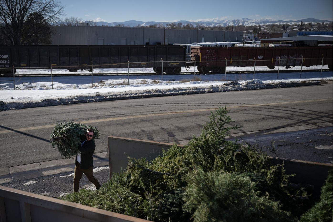 How to recycle your 2023 Christmas tree around metro Denver