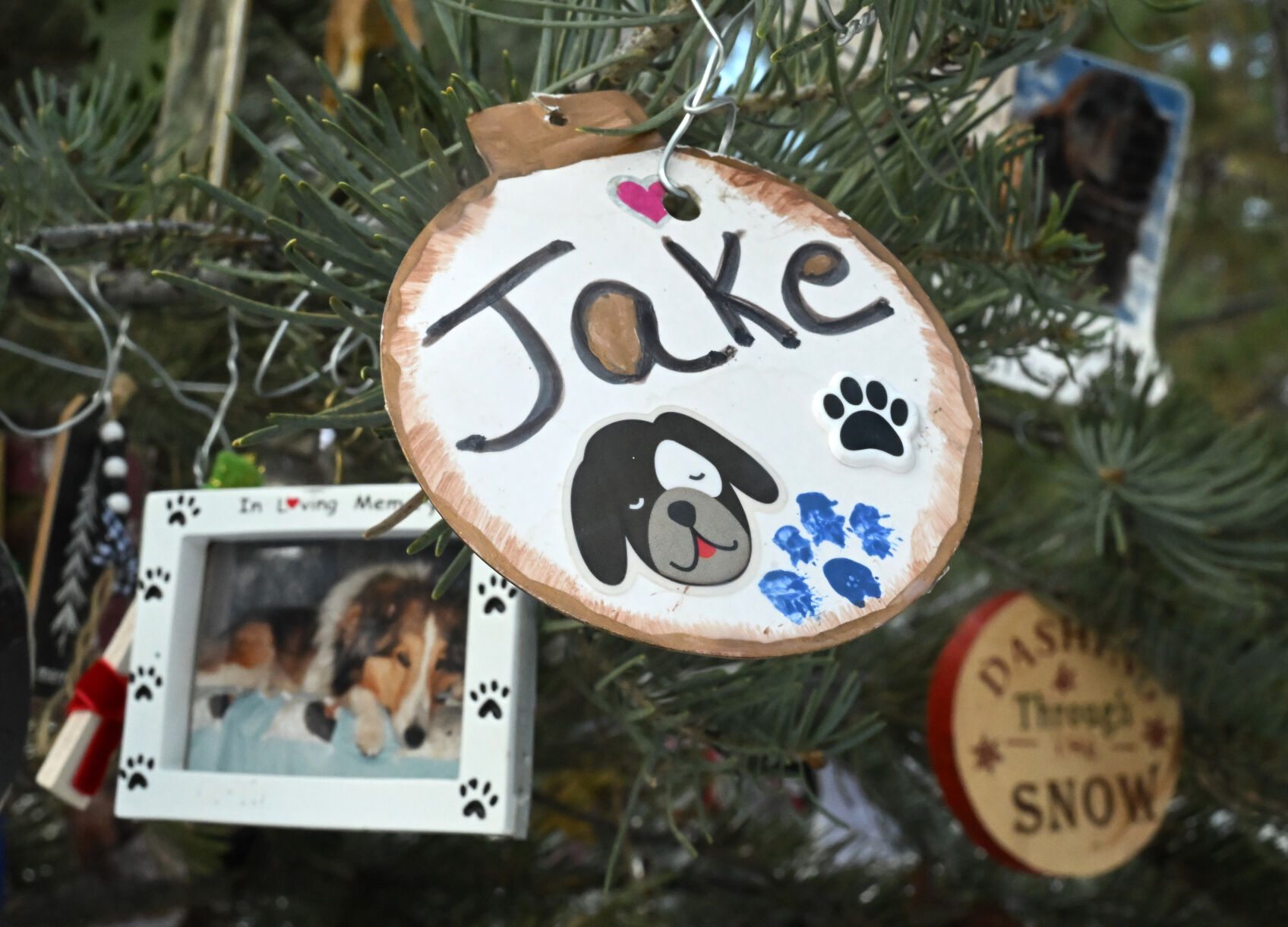 More ornaments in memoriam to pets on the forever tree in Fox Run Regional Park on Monday, Dec. 4, 2023. (Photo by Jerilee Bennett, The Gazette)