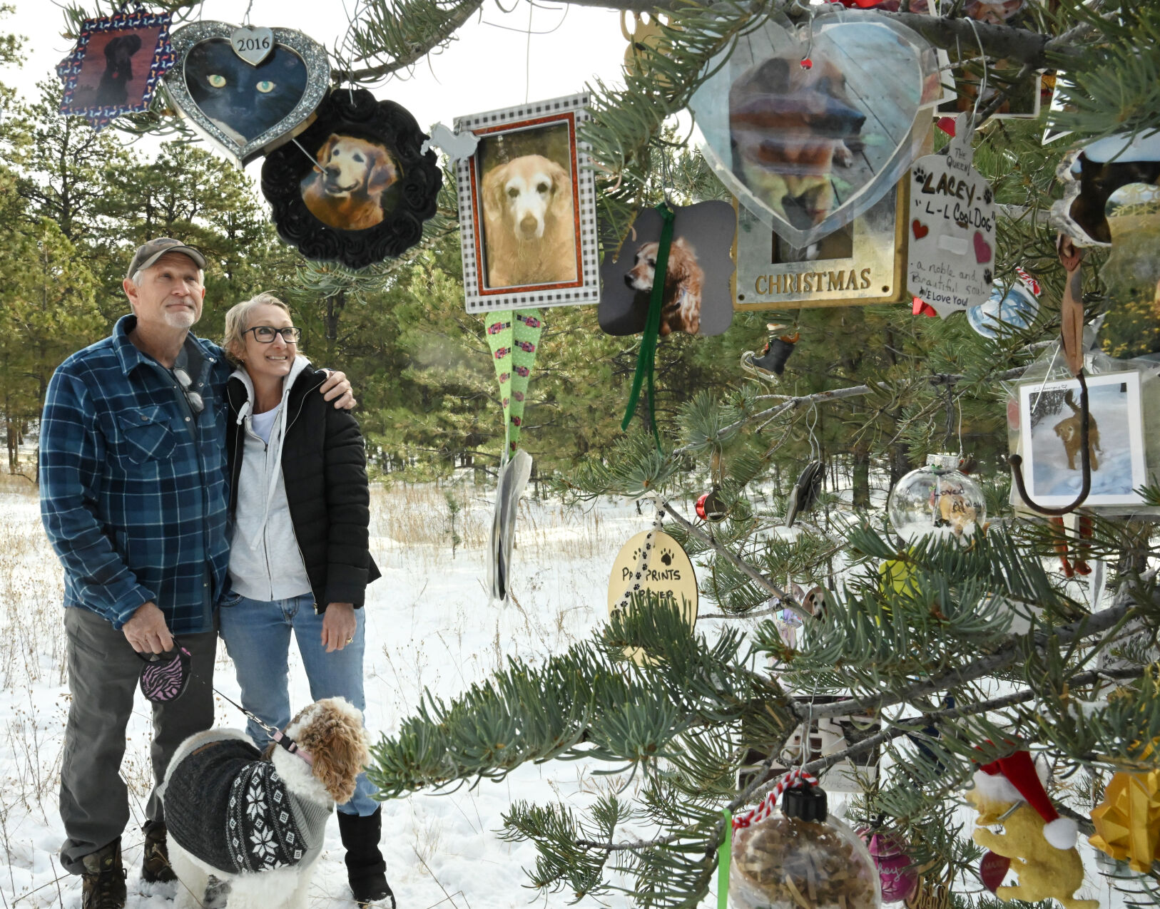 Lorna and Jeff Goebel are the caretakers of the forever tree in Fox Run Regional Park. The tree honors people’s beloved pets with ornaments with pictures and sentiments for everything from cockatoos to dogs to horses. The Goebels put up the ornaments after Thanksgiving and take them down to store them on New Year’s Day. They do any repairs and add durable wire hangers to the new ornaments. (Photos by Jerilee Bennett, The Gazette)