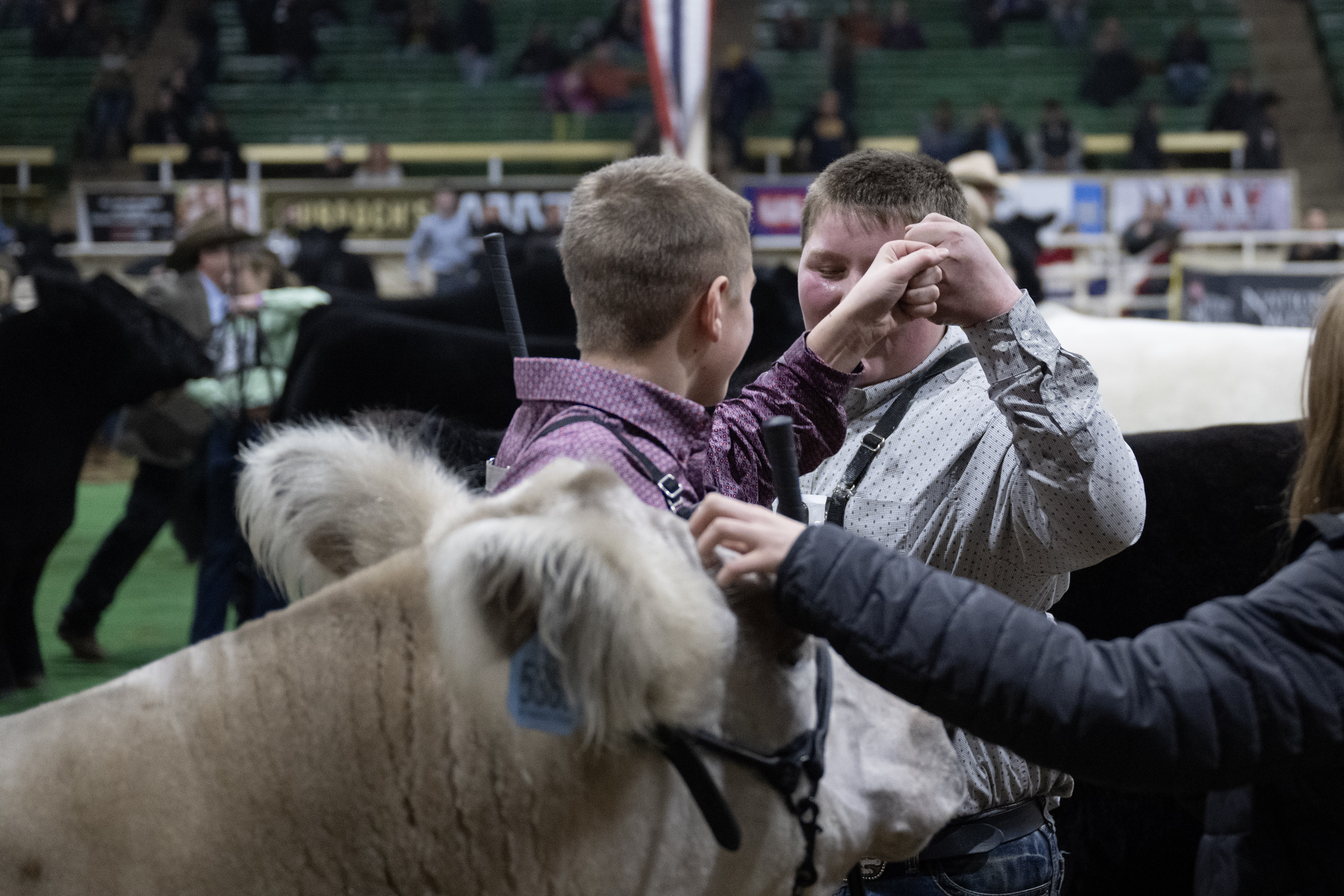 Mason Shalla, right, fist bumps Croix Reimann after the two of them were awarded Reserve and Grand Champion, respectively, during the Junior Market Steer Grand Drive on Wednesday, Jan. 17, 2024, at the Stadium Arena in the National Western Complex in Denver, Colo.(Timothy Hurst/Denver Gazette) (TimHursttim.hurst@gazette.comhttps://secure.gravatar.com/avatar/aca82bd62b4ee425c598527cd6faa1b1?d=mm&r=g)