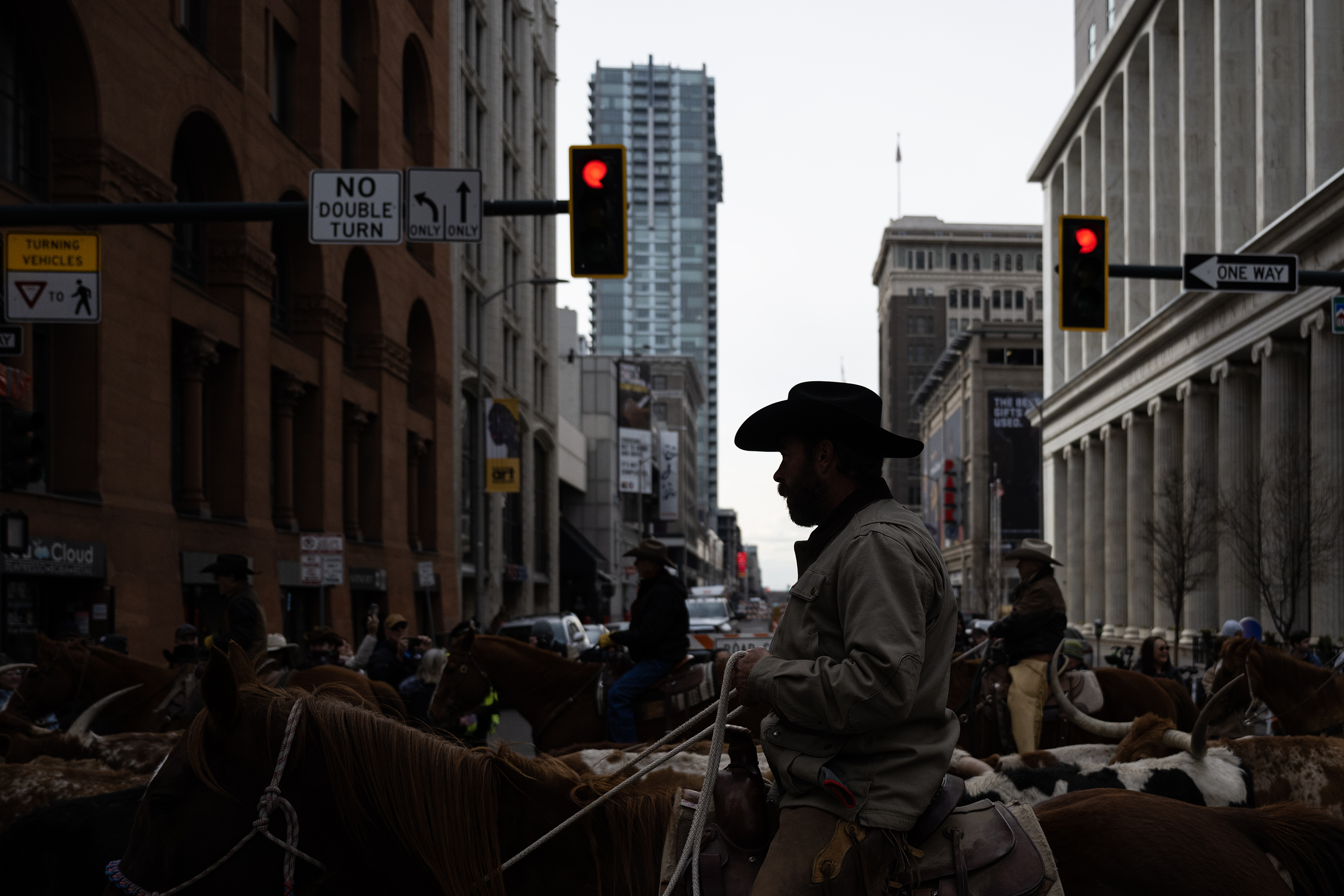 Wranglers from Silverado Ranch drive Texas Longhorns down 17th Street during The National Western Stock Show Kick-off Parade on Thursday, Jan. 4, 2024, in Denver, Colo. (Timothy Hurst/Denver Gazette) (TimHursttim.hurst@gazette.comhttps://secure.gravatar.com/avatar/aca82bd62b4ee425c598527cd6faa1b1?d=mm&r=g)