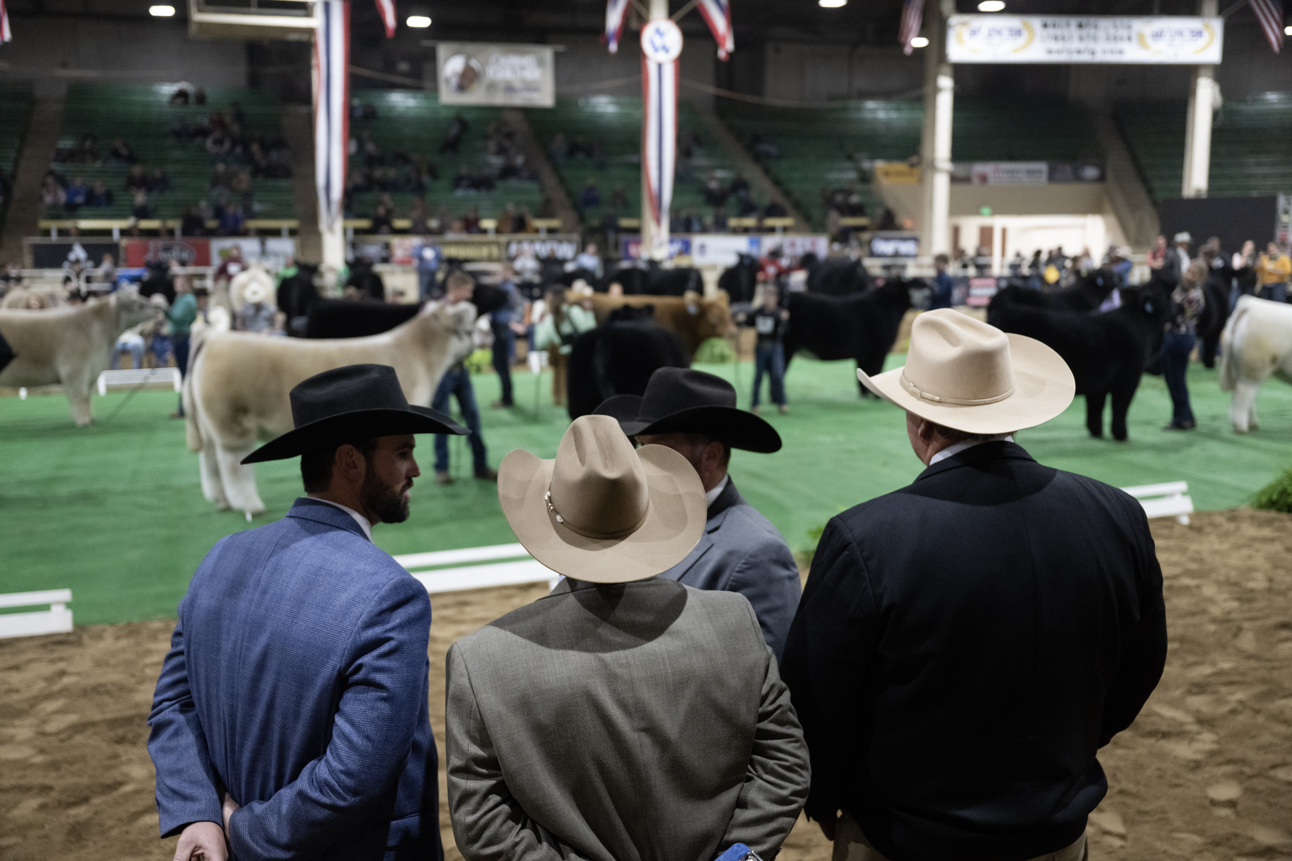 The judges talk amongst themselves before naming Grand and Reserve Grand Champions during the Junior Market Steer Grand Drive on Wednesday, Jan. 17, 2024, at the Stadium Arena in the National Western Complex in Denver, Colo. (Timothy Hurst/Denver Gazette) (TimHursttim.hurst@gazette.comhttps://secure.gravatar.com/avatar/aca82bd62b4ee425c598527cd6faa1b1?d=mm&r=g)