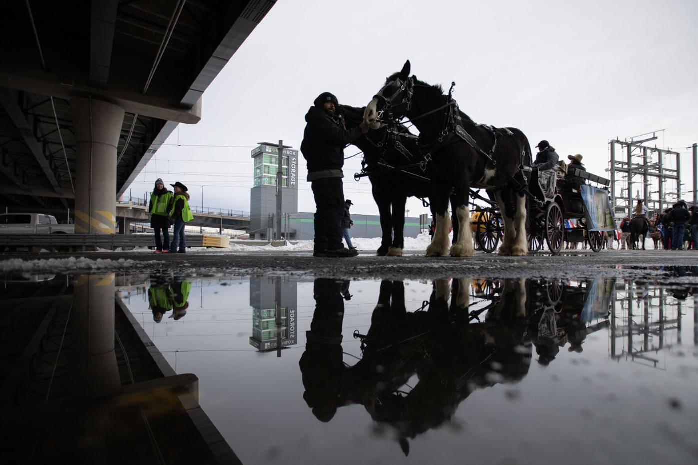 Freezing weather creates possible issues for incoming ranchers