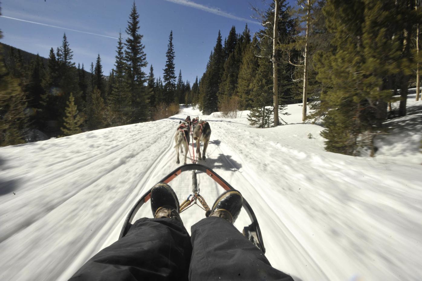 Dog sledding