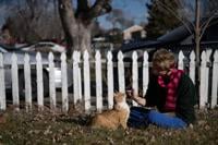 Colorado’s veterinary shortage: Animals being euthanized as owners struggle with costs, professionals labor to meet demand