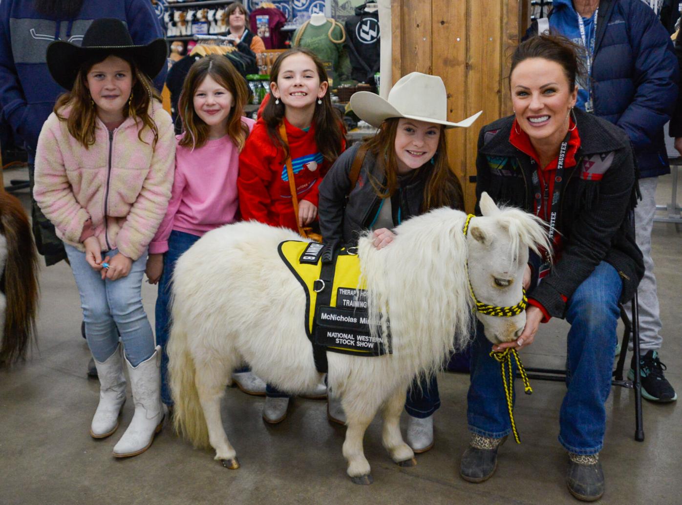 Miniature touch therapy horses work as ambassadors at the Stock Show