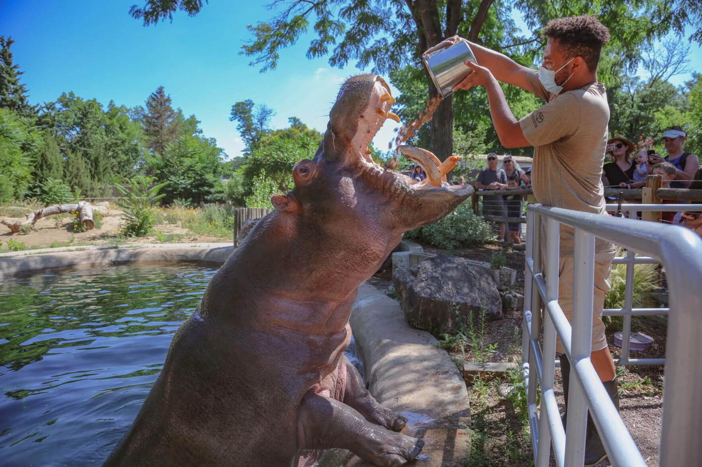 Denver Zoo earns American Humane Certification