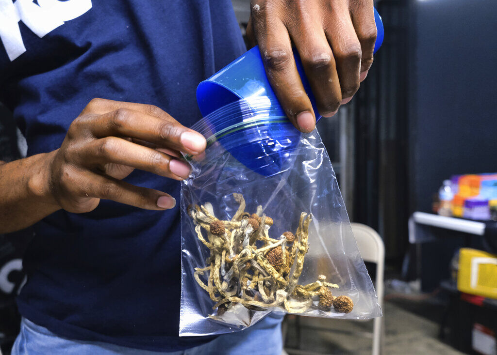 Maine lawmakers consider legalized ‘magic’ mushrooms
