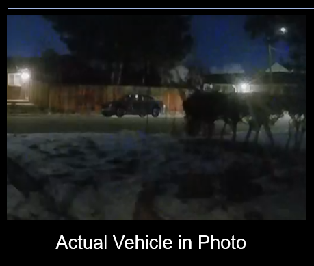 Aurora Police searching for possible kidnapping, assault suspect