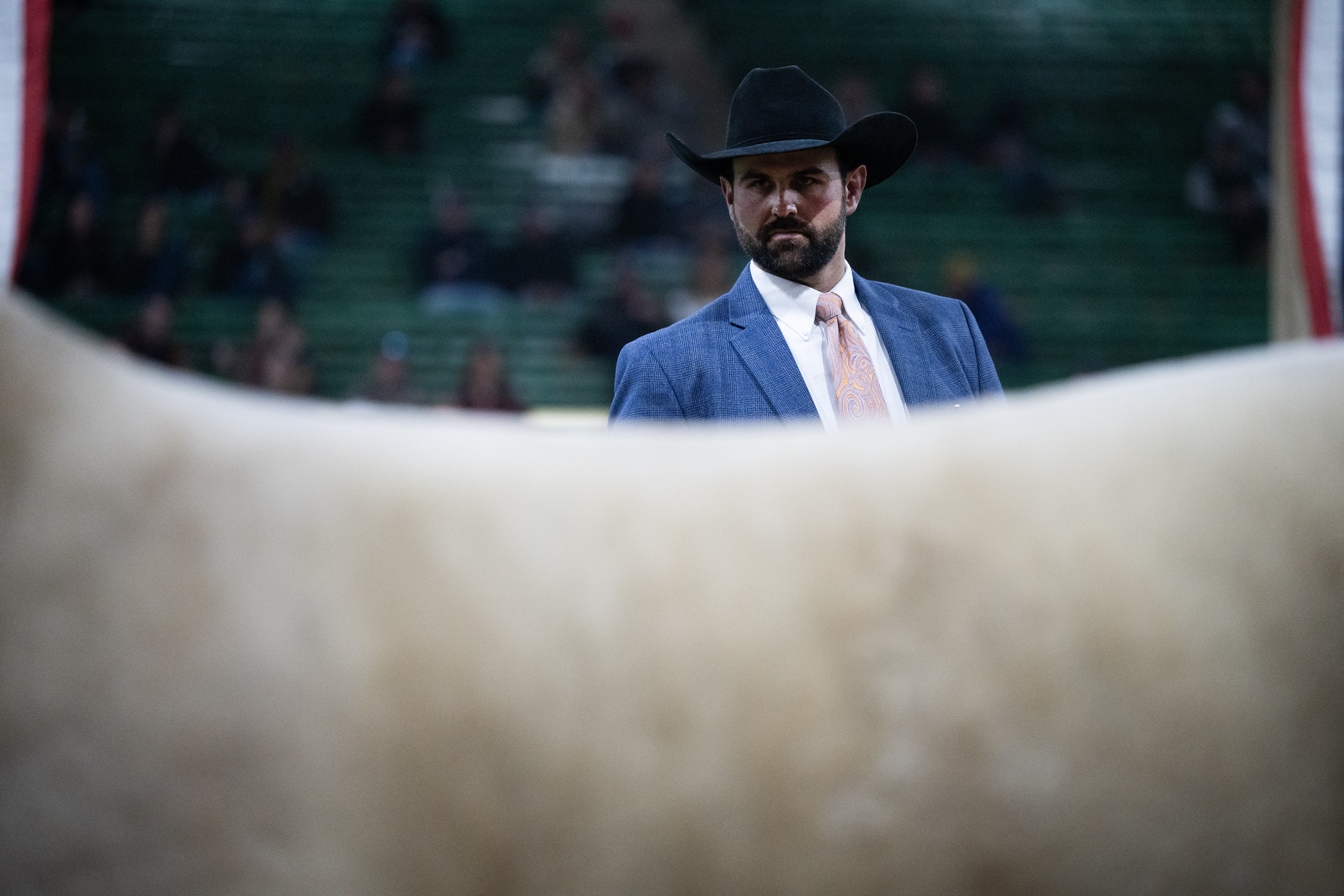 Judge Dustin Frank looks over a steer during the Junior Market Steer Grand Drive on Wednesday, Jan. 17, 2024, at the Stadium Arena in the National Western Complex in Denver, Colo. (Timothy Hurst/Denver Gazette) (TimHursttim.hurst@gazette.comhttps://secure.gravatar.com/avatar/aca82bd62b4ee425c598527cd6faa1b1?d=mm&r=g)