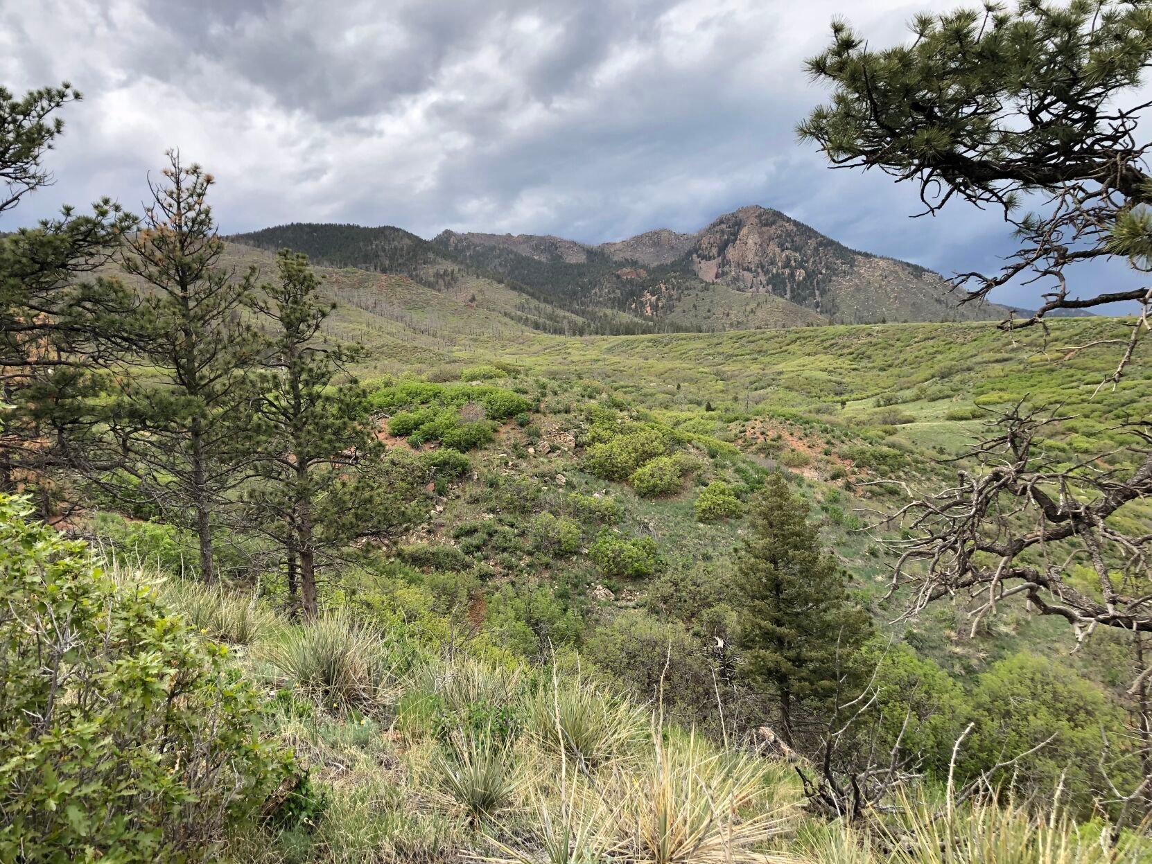 Trail Talk: Coping with park envy as Denver adds to its system