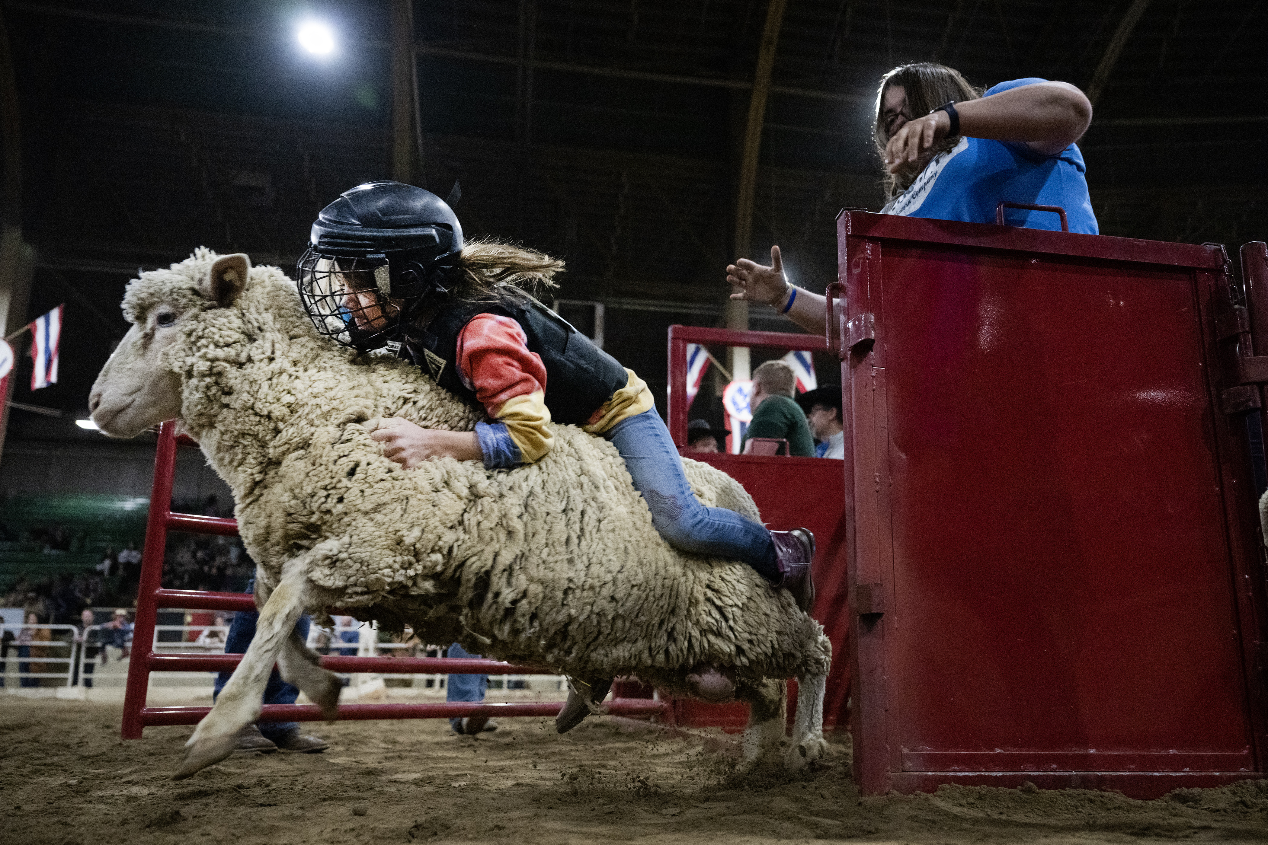 PHOTOS: Mutton Bustin’ at the National Western Stock Show