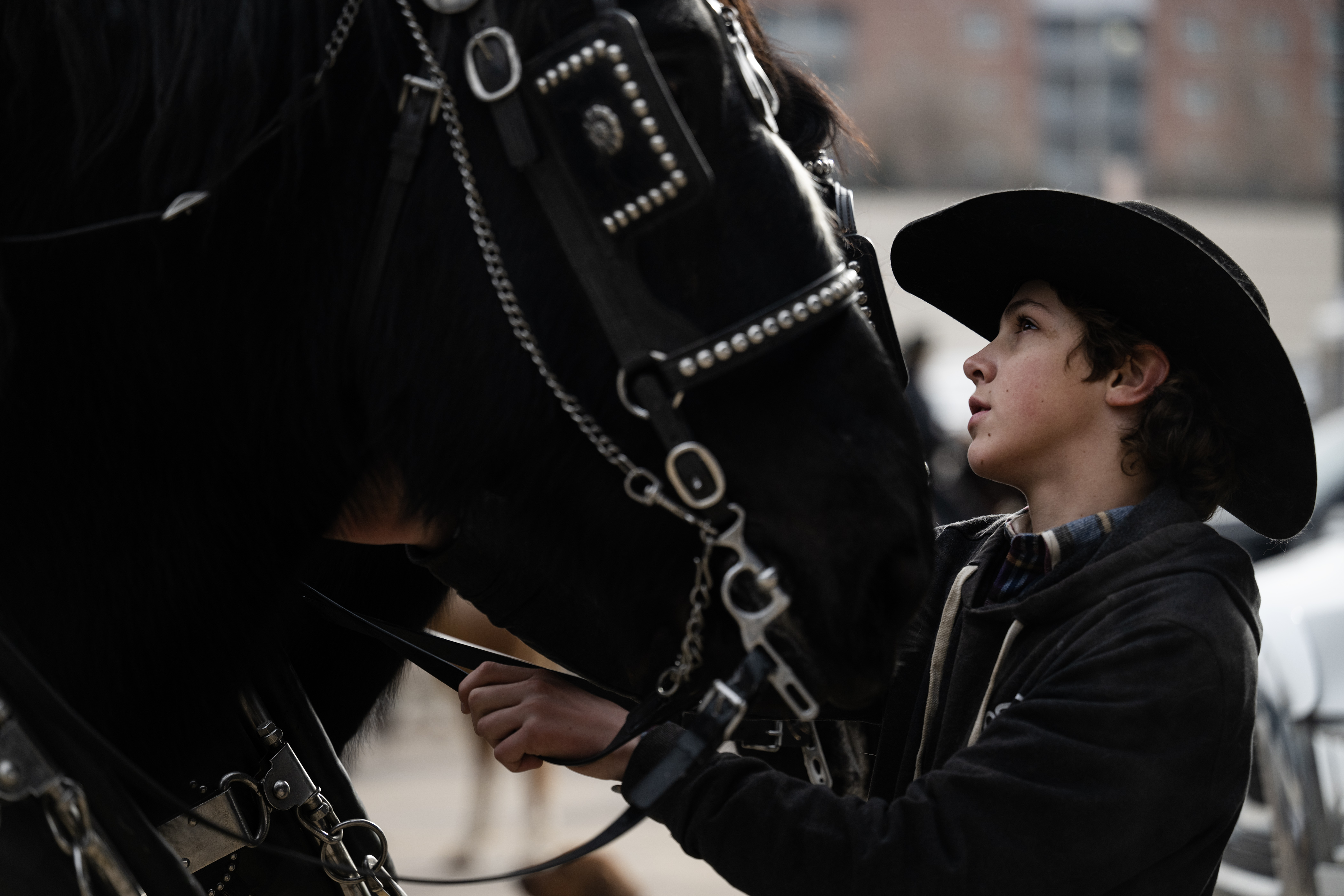 Monk Dawson keeps the Percheron draft horses that will be pulling a wagon from Kiowa Creek Coaches calm before The National Western Stock Show Kick-off Parade on Thursday, Jan. 4, 2024, in Denver, Colo. (Timothy Hurst/Denver Gazette) (TimHursttim.hurst@gazette.comhttps://secure.gravatar.com/avatar/aca82bd62b4ee425c598527cd6faa1b1?d=mm&r=g)