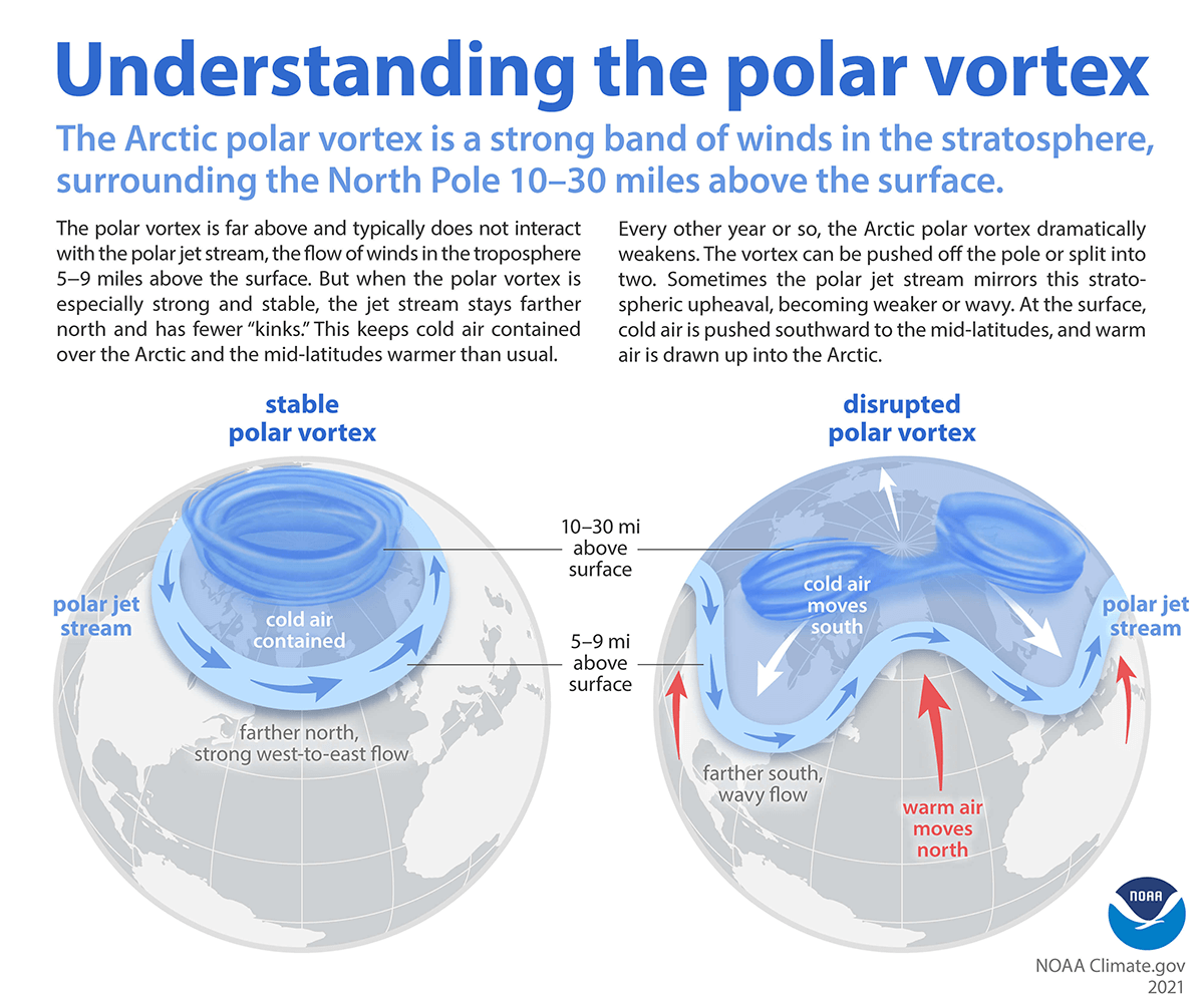 The polar vortex is an area of low pressure — a wide expanse of swirling cold air — that is parked in polar regions. During winter, the polar vortex at the North Pole expands, sending cold air southward. This happens fairly often and can be associated with outbreaks of cold temperatures in the United States. (National Oceanic and Atmospheric Administration)