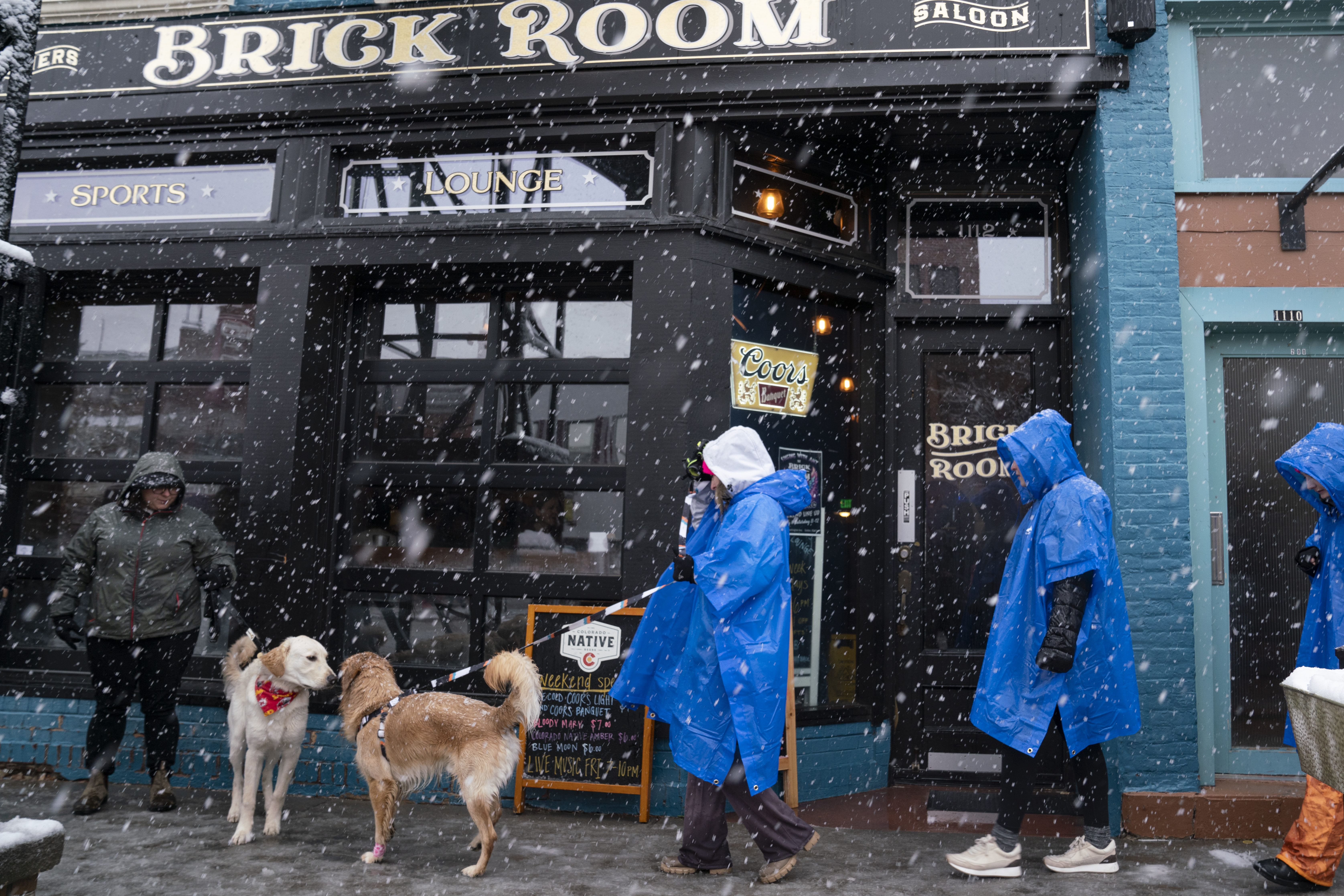 Golden retrievers on Washington Ave. in Golden, Colorado on Saturday, February 3, 2024. The snow didn’t stop owners from bringing their pets to the annual event on National Golden Retriever Day. (Rebecca Slezak)