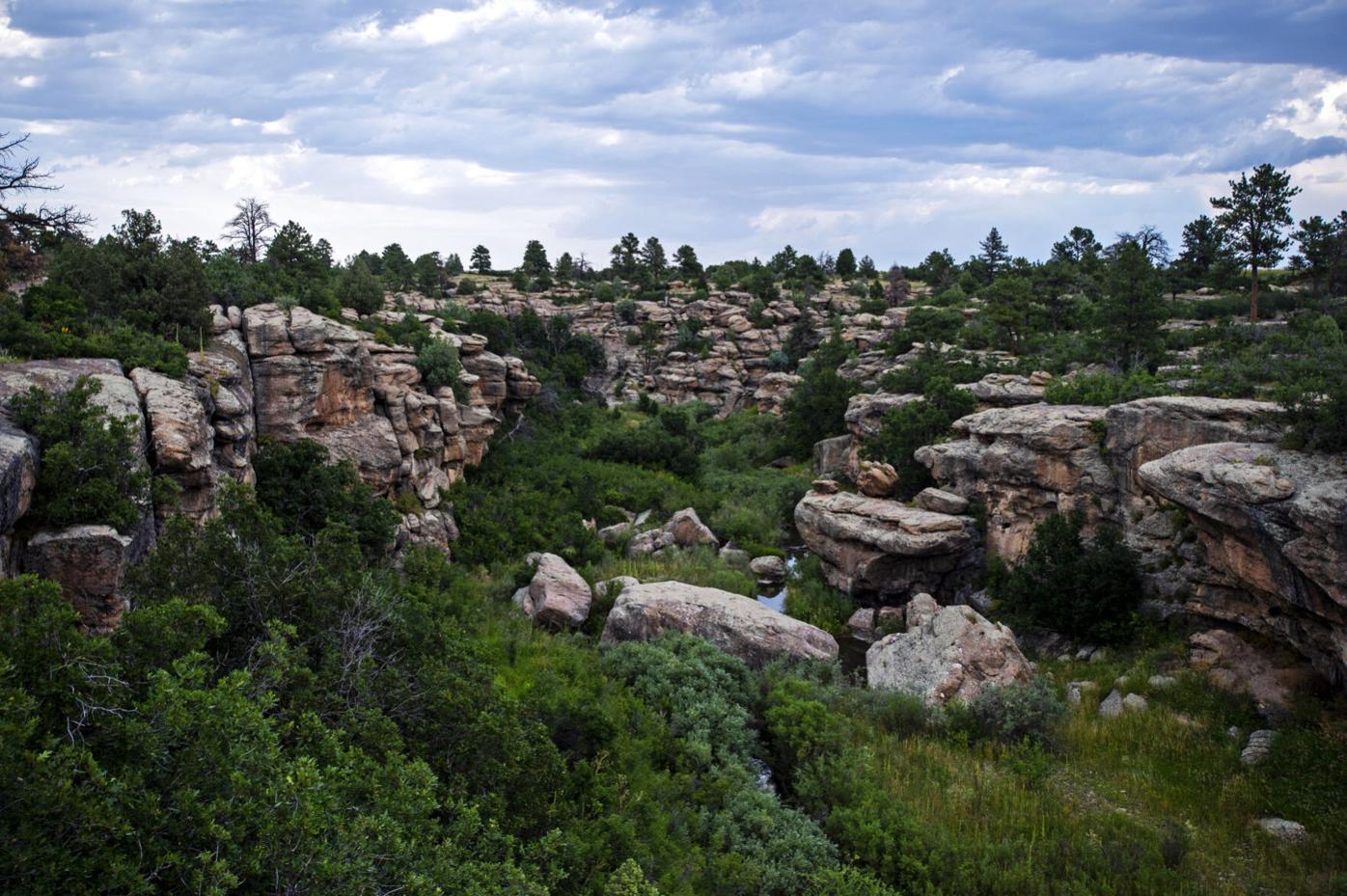 082619-ot-castlewood 02.JPG (copy)