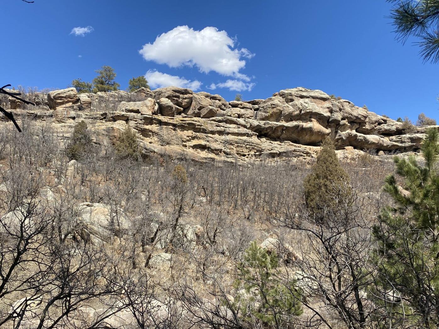 castlewood geology.jpg