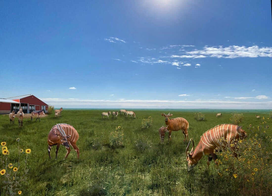 Denver Zoo set to open 570-acre facility in Weld County