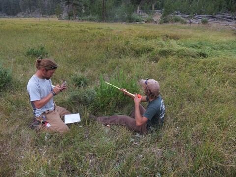 seated measurement.jpg