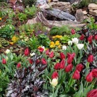 Weekend things to do around Denver and beyond