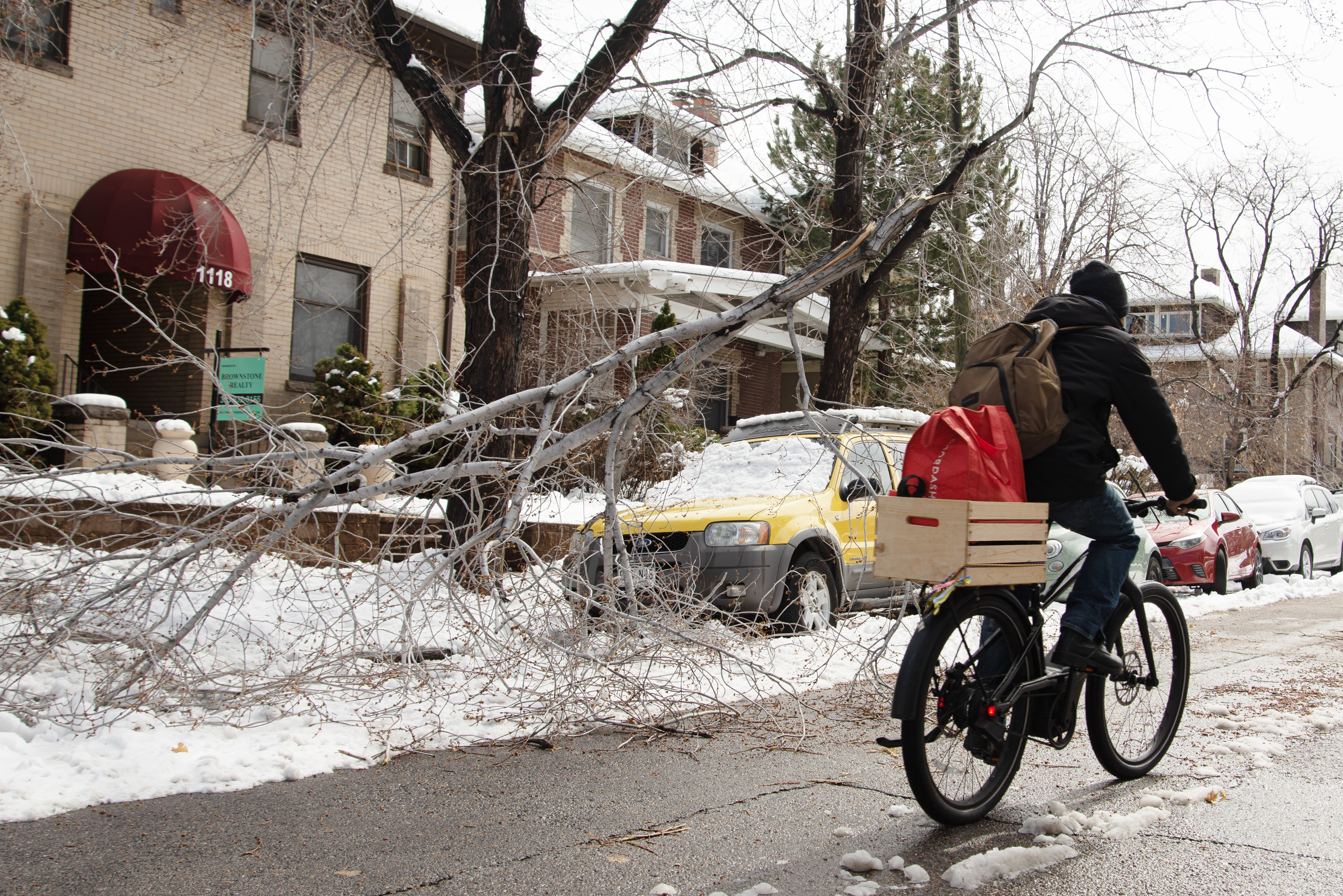 Denver area forestry staff hard at work clearing tree debris after snowstorm