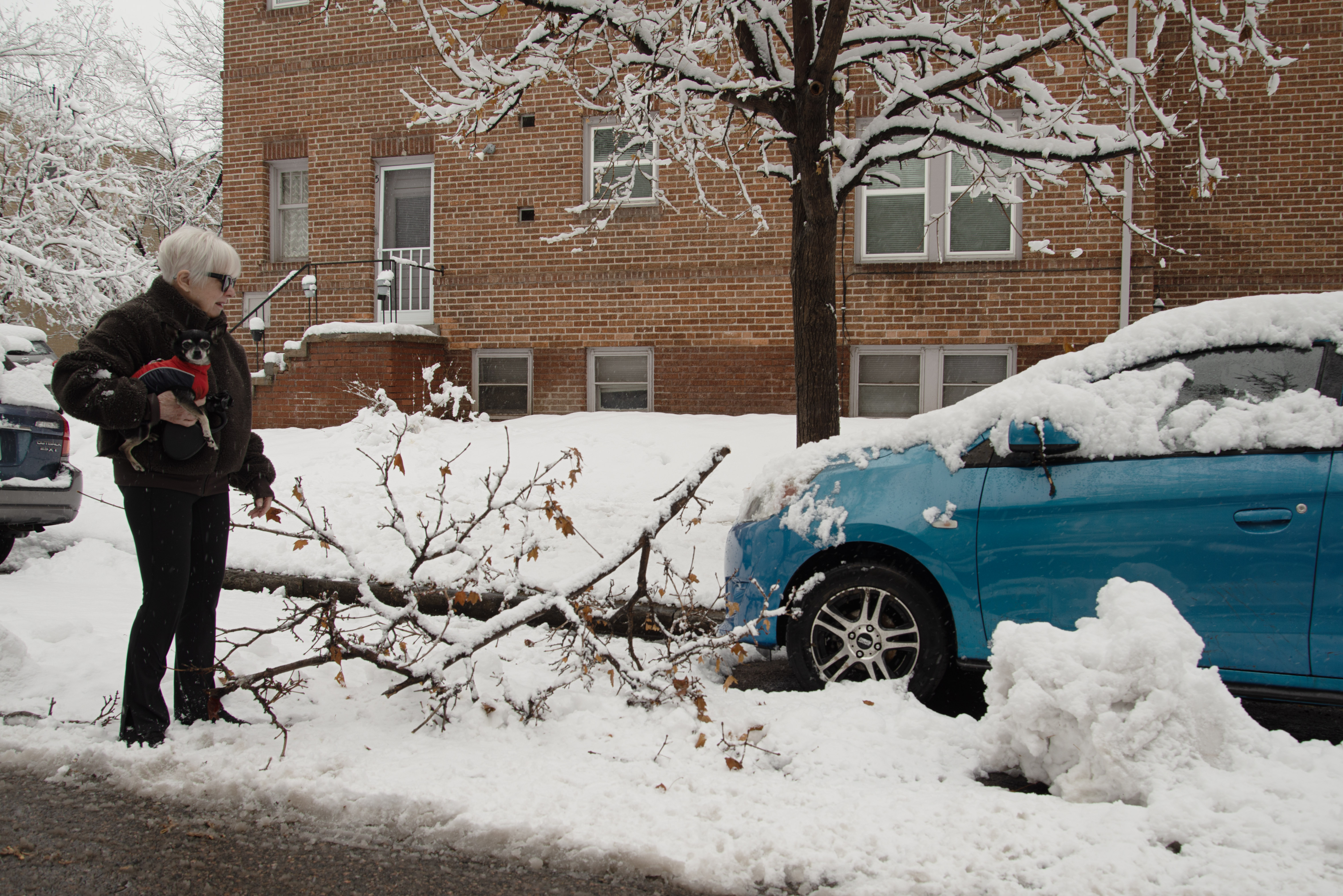 Terry Coke-Kerr looks at her car after a branch fell on it after a winter snowstorm left many downed branches in Denver on Thursday, March 14, 2024. (TomHellauerMultimedia Producertom.hellauer@denvergazette.comhttps://denvergazette.com/content/tncms/avatars/f/9e/622/f9e6228a-3b6b-11ed-bf10-fbb71fa8e421.f54b911252c540f1d61709edc4727a39.png)