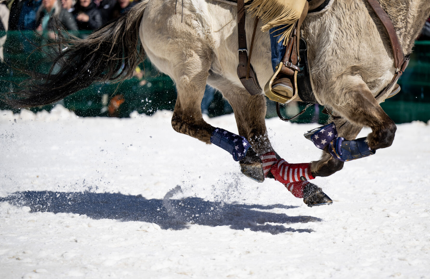 Many of the horses that compete in ski joring wear horseshoes with small spikes to give them better traction. (Parker Seibold, The Gazette) (Parker Seibold)
