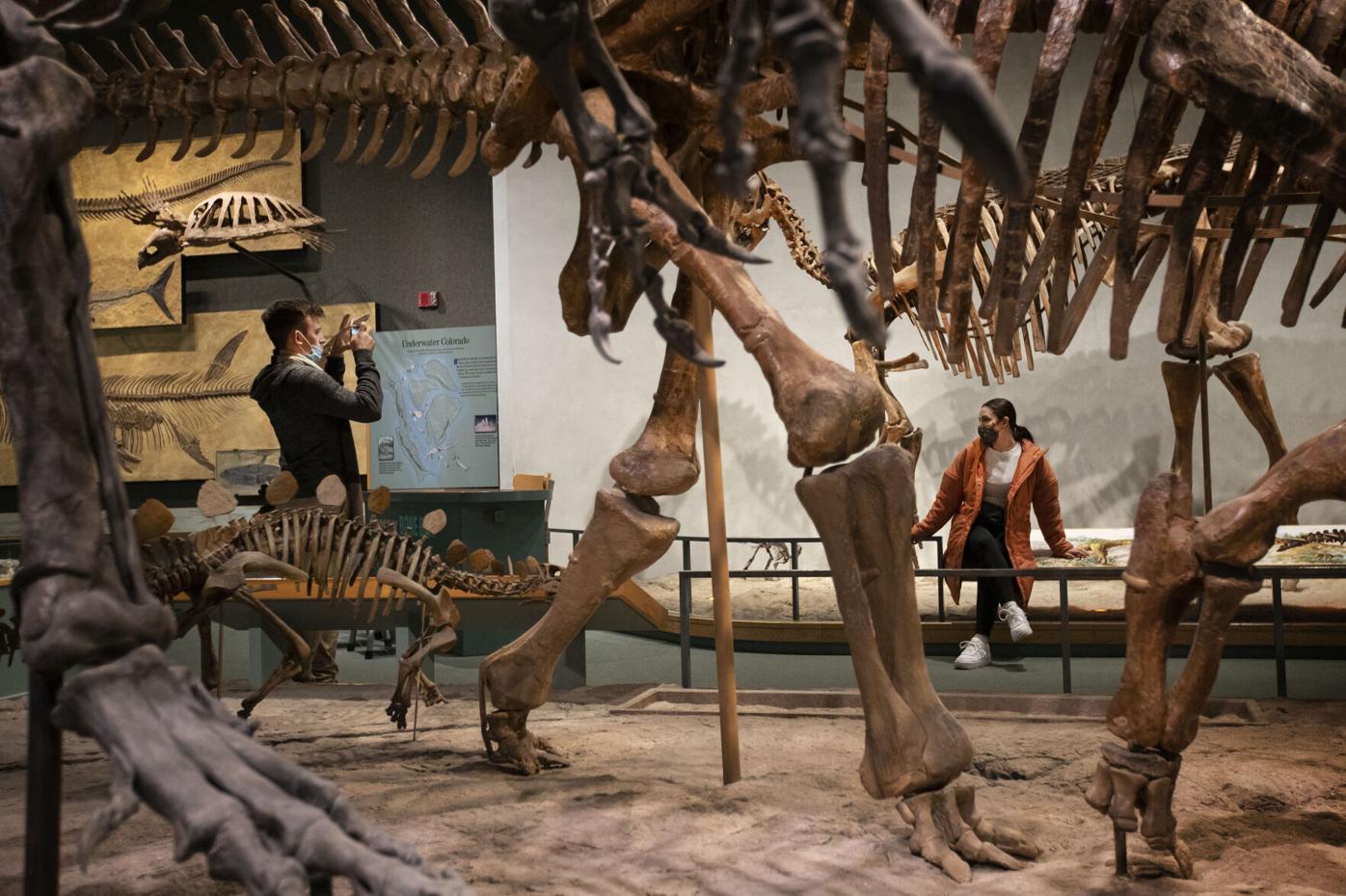 Pikes Pick: Mark down these free days at Denver’s museums