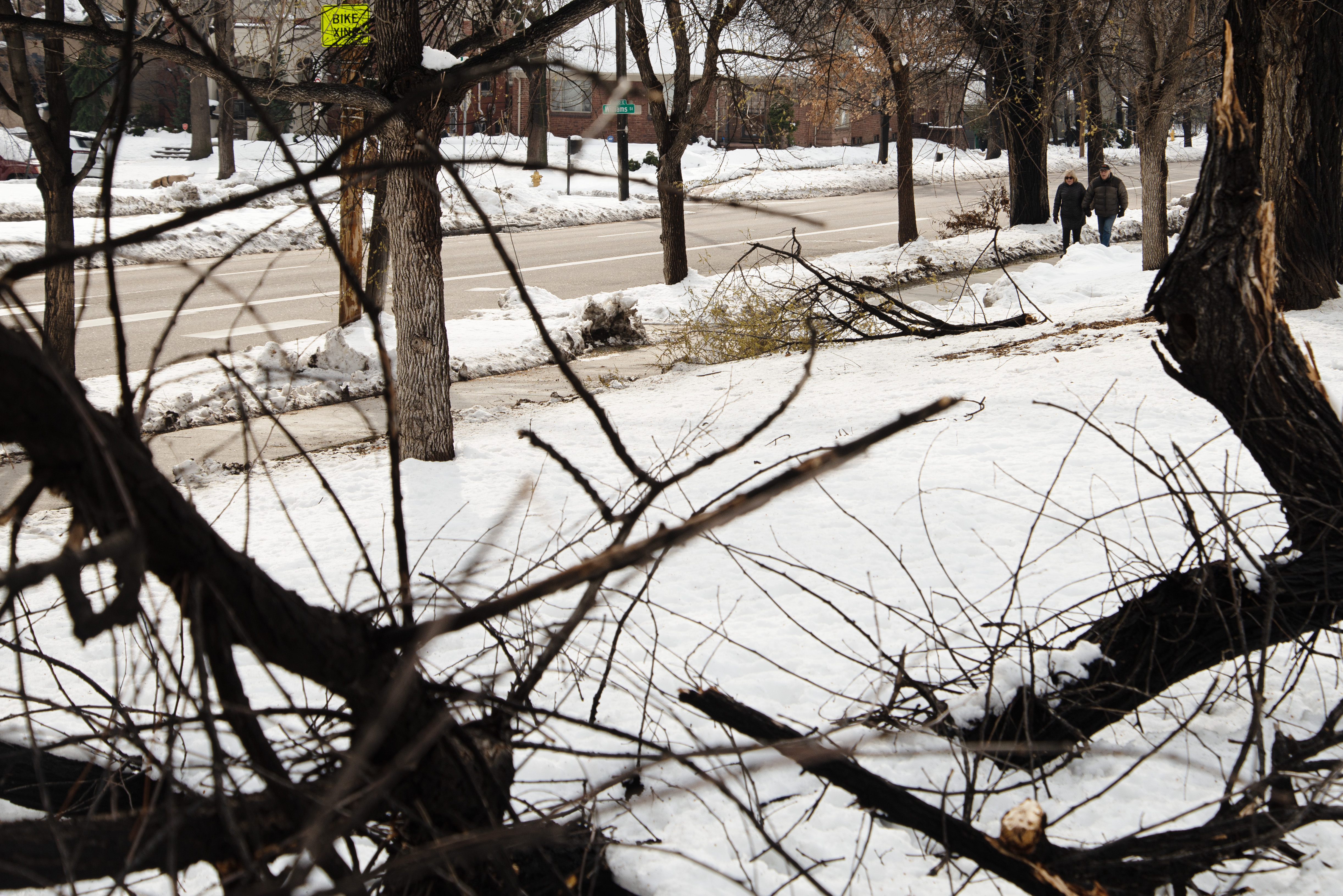 Pedestrians walk through piles of downed branches in Denver's Capitol Hill neighborhood following a snowstorm on Friday, March 15, 2024. (TomHellauerMultimedia Producertom.hellauer@denvergazette.comhttps://denvergazette.com/content/tncms/avatars/f/9e/622/f9e6228a-3b6b-11ed-bf10-fbb71fa8e421.f54b911252c540f1d61709edc4727a39.png)