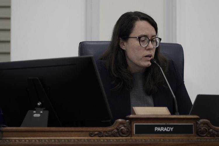 Sarah Parady Budget Amendment 1 (copy)