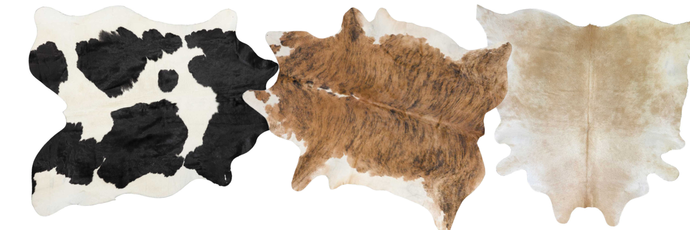 Blog cowhide - 2