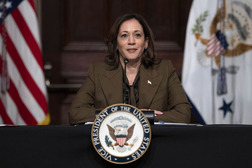 Kamala Harris hosts marijuana panel with Fat Joe as Biden pushes to reclassify the drug