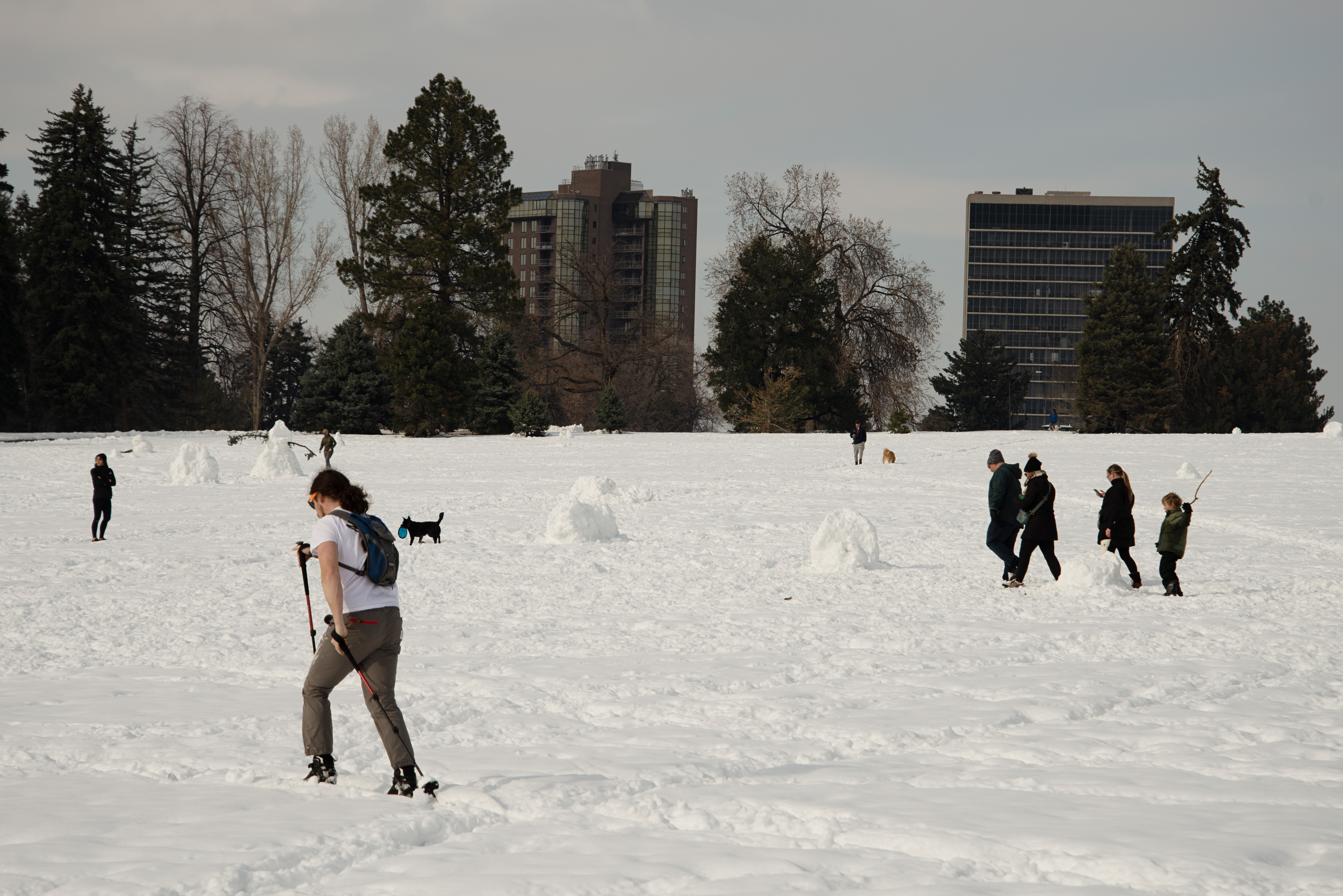 A cross-country skier works through Cheesman Park following a large snowstorm on Friday, March 15, 2024. (TomHellauerMultimedia Producertom.hellauer@denvergazette.comhttps://denvergazette.com/content/tncms/avatars/f/9e/622/f9e6228a-3b6b-11ed-bf10-fbb71fa8e421.f54b911252c540f1d61709edc4727a39.png)
